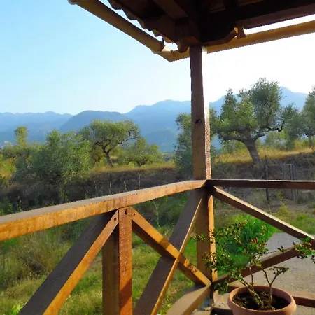 Luxurious Mansion In Olive Grove & View To Mystras Βίλα Σπάρτη